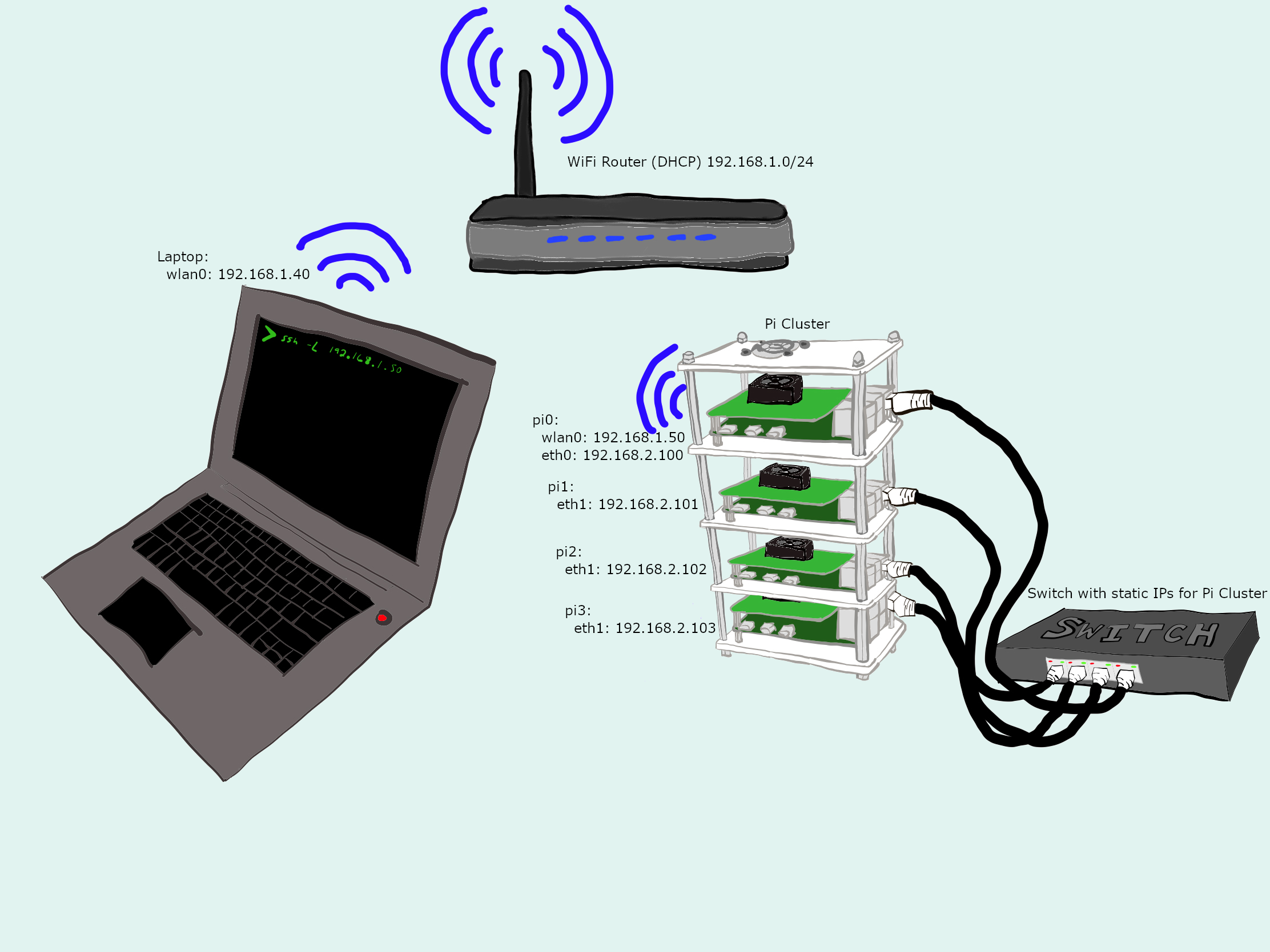 Network Layout